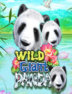 เล่นสล็อต บาท เดียวให้คุ้มค่าด้วยเทคนิคง่ายๆ